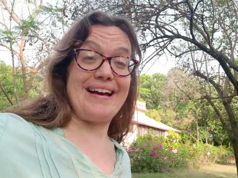 Top 3 ways I have personally benefited from Ayurveda