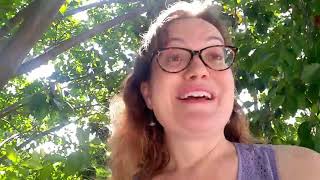 What is the cause of 70-80% of all diseases according to Ayurveda?